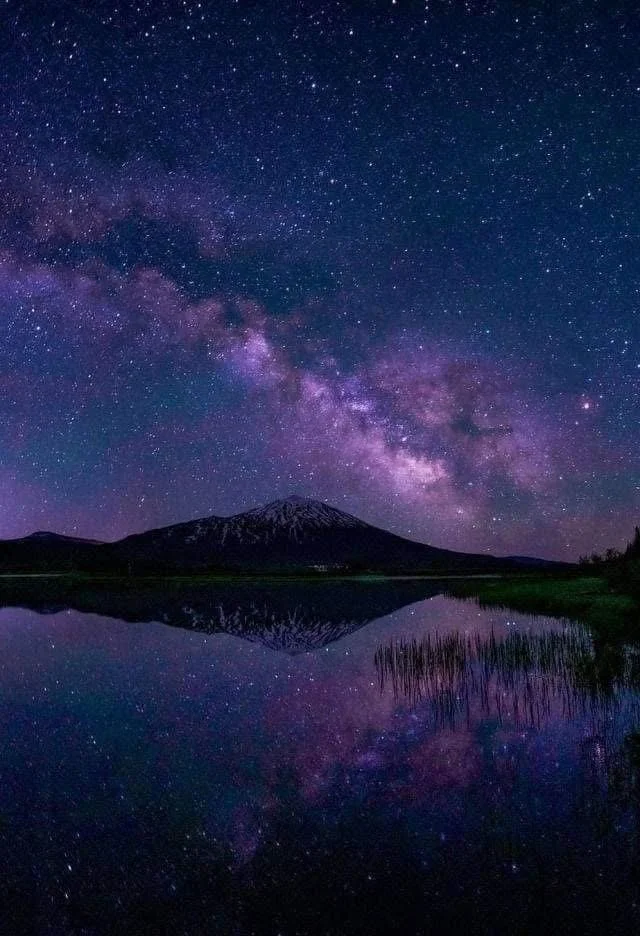 In The Silence