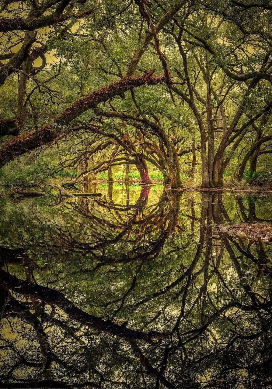 Encourage One Another