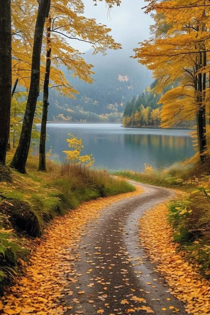 Giving With a Grateful Heart