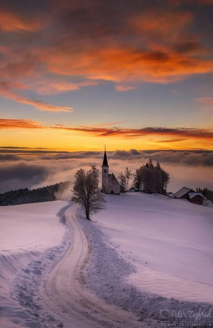 Packing for the New Year