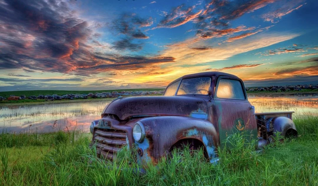 Cruise Control: A Dog's Perspective