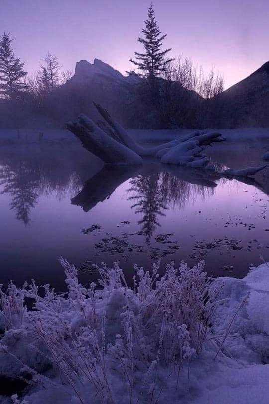 Numb In the Darkness