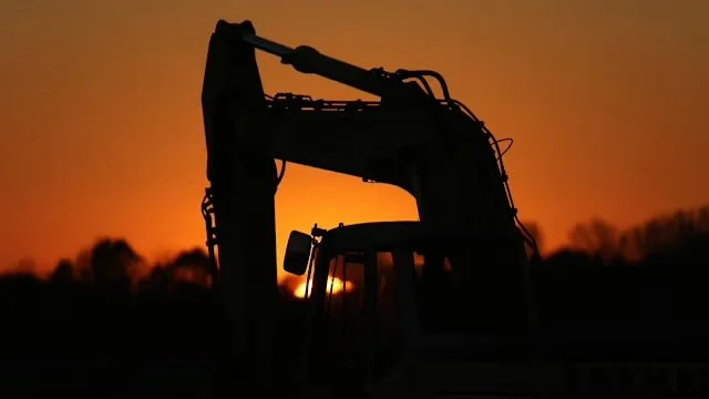 Under Construction: A Dog's Perspective