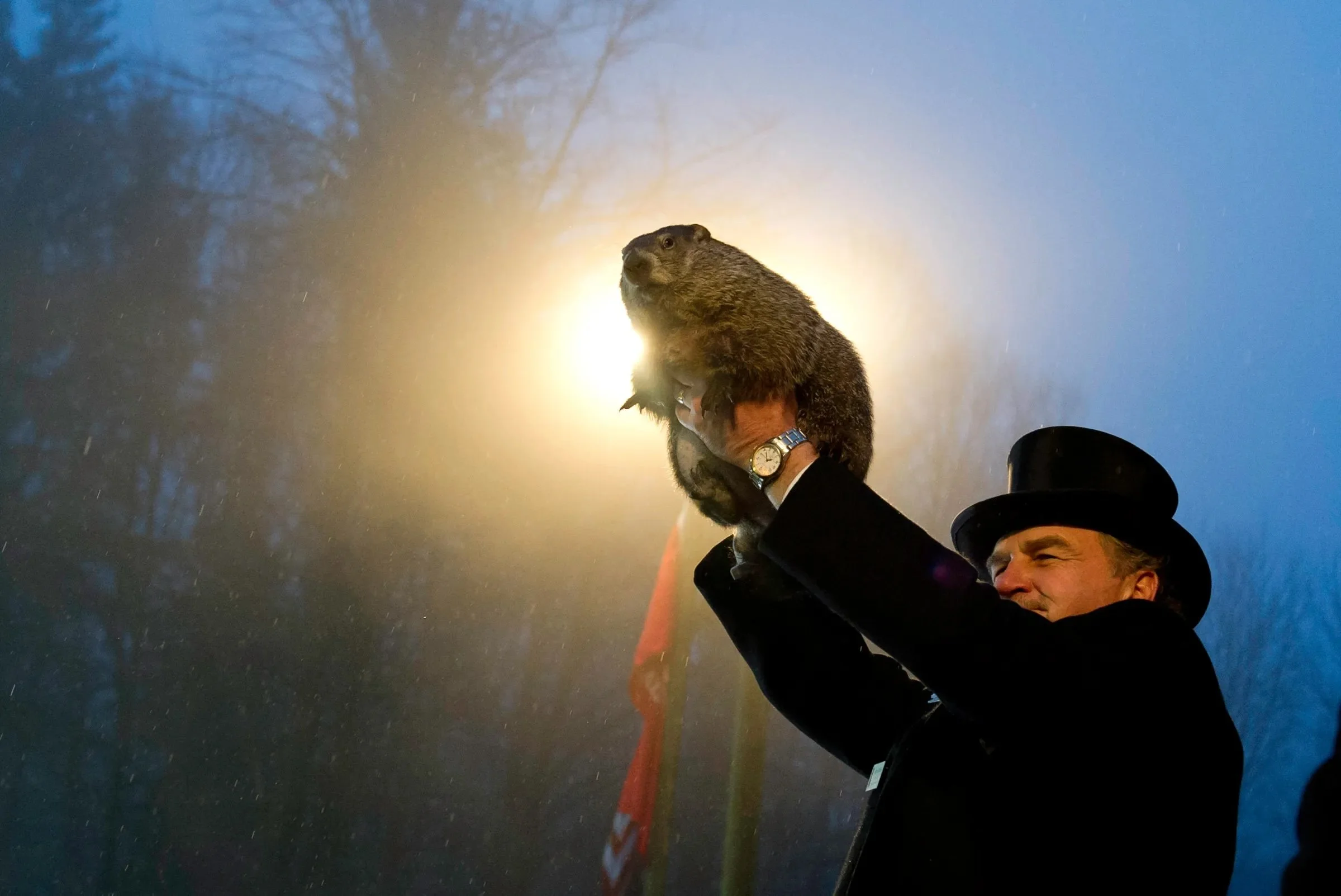 Groundhog Day: A Dog's Perspective