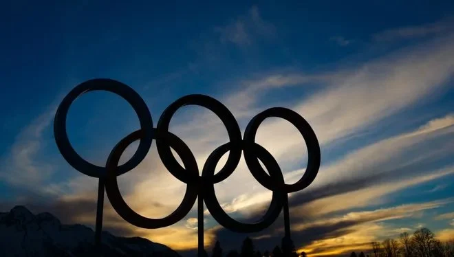 The Gold: A Dog's Perspective