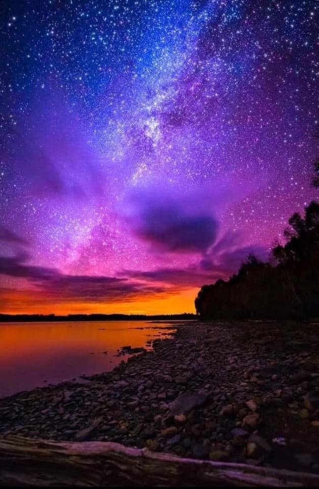 Persia: A Dog's Perspective