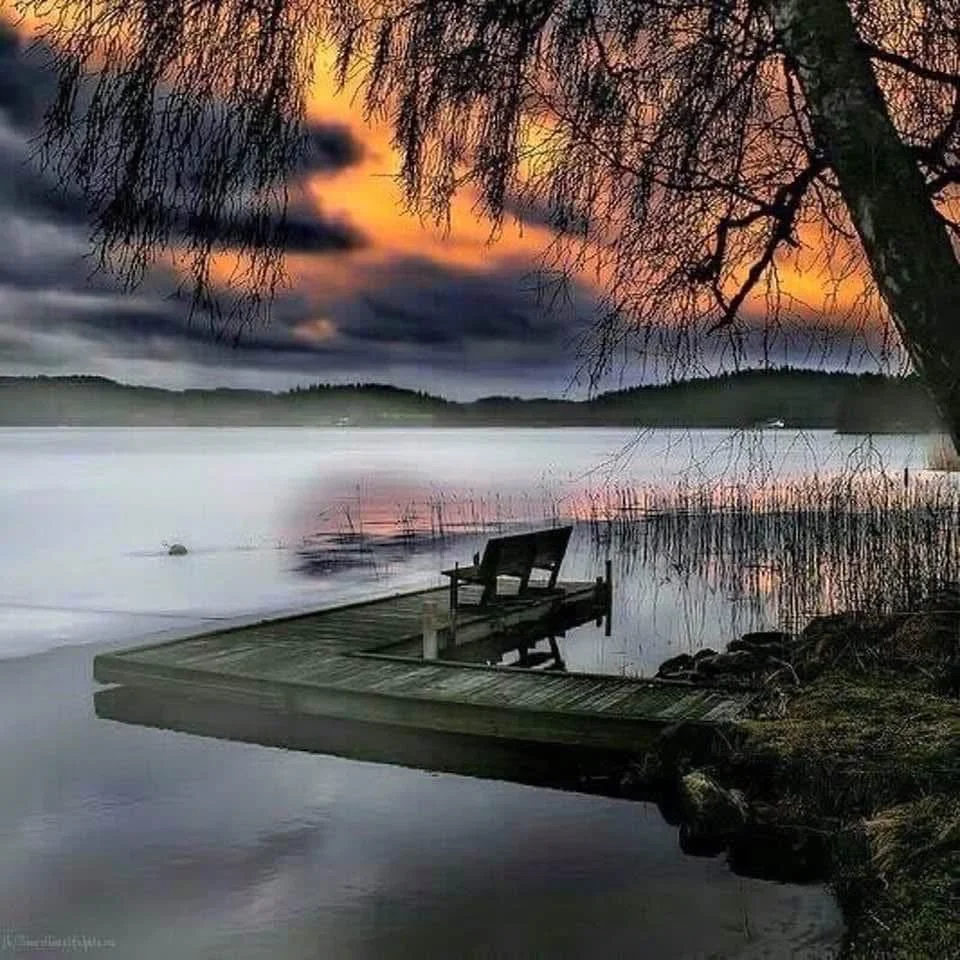 Haters Gonna Hate: A Dog's Perspective