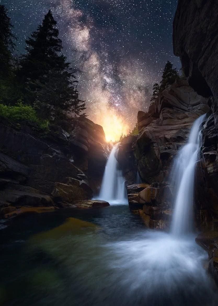 What Spills Out: A Dog's Perspective