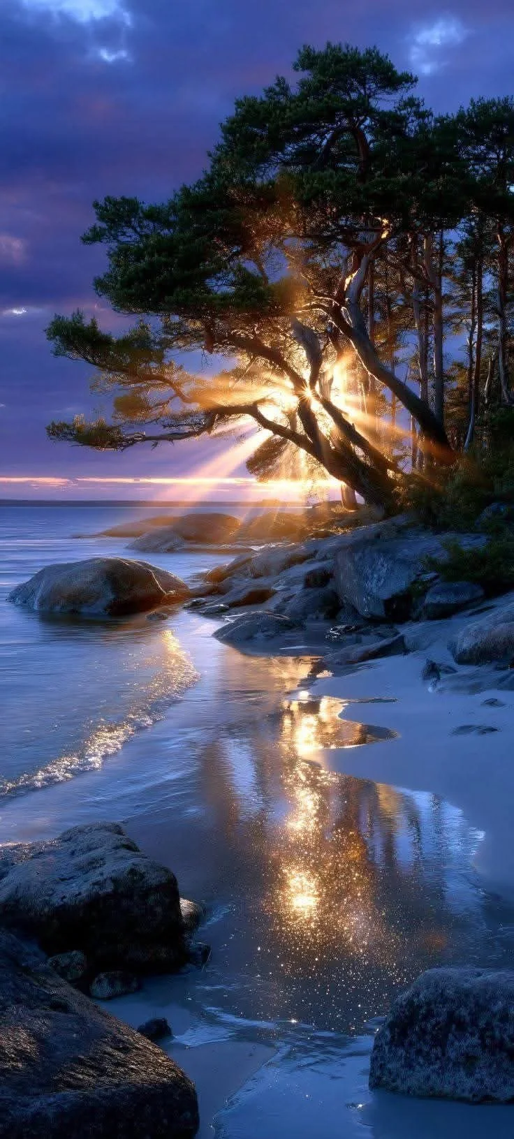 He Wants You: A Dog's Perspective