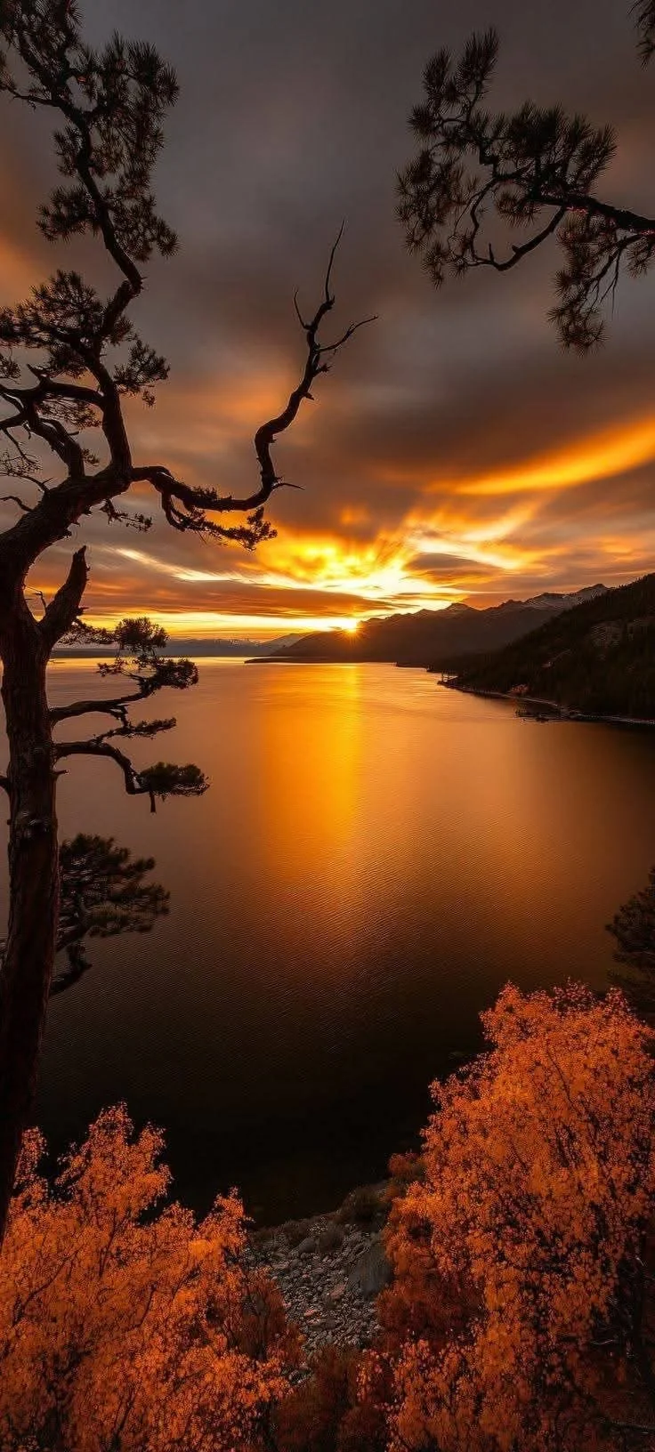 Goodness to Repentance: A Dog's Perspective