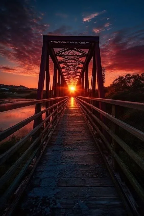 Way, Truth, Life: A Dog's Perspective