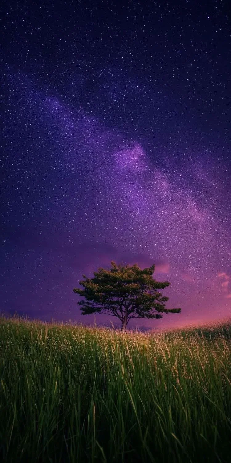 Hope: A Dog's Perspective