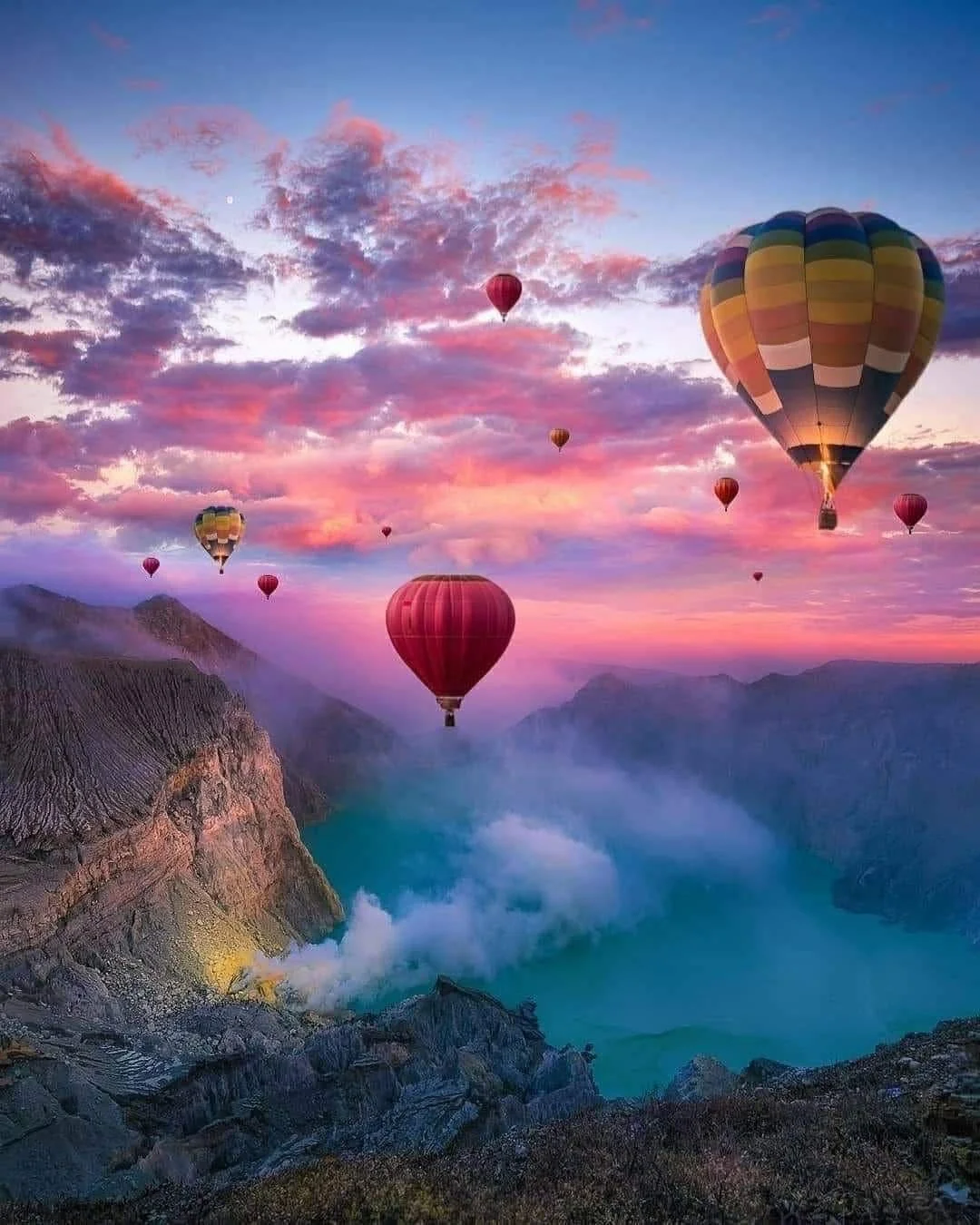 Trust: A Dog's Perspective