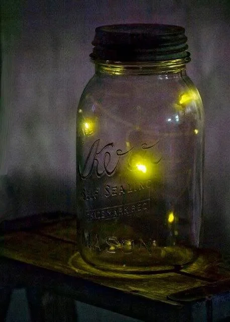 Lightning Bugs