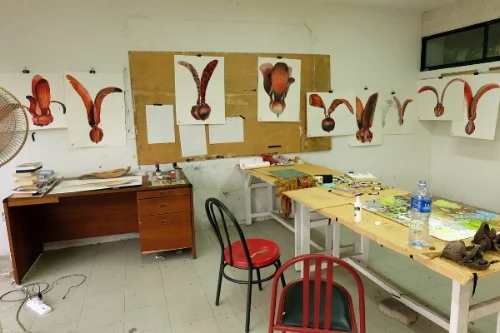 studio-rimbun-dahan.jpg