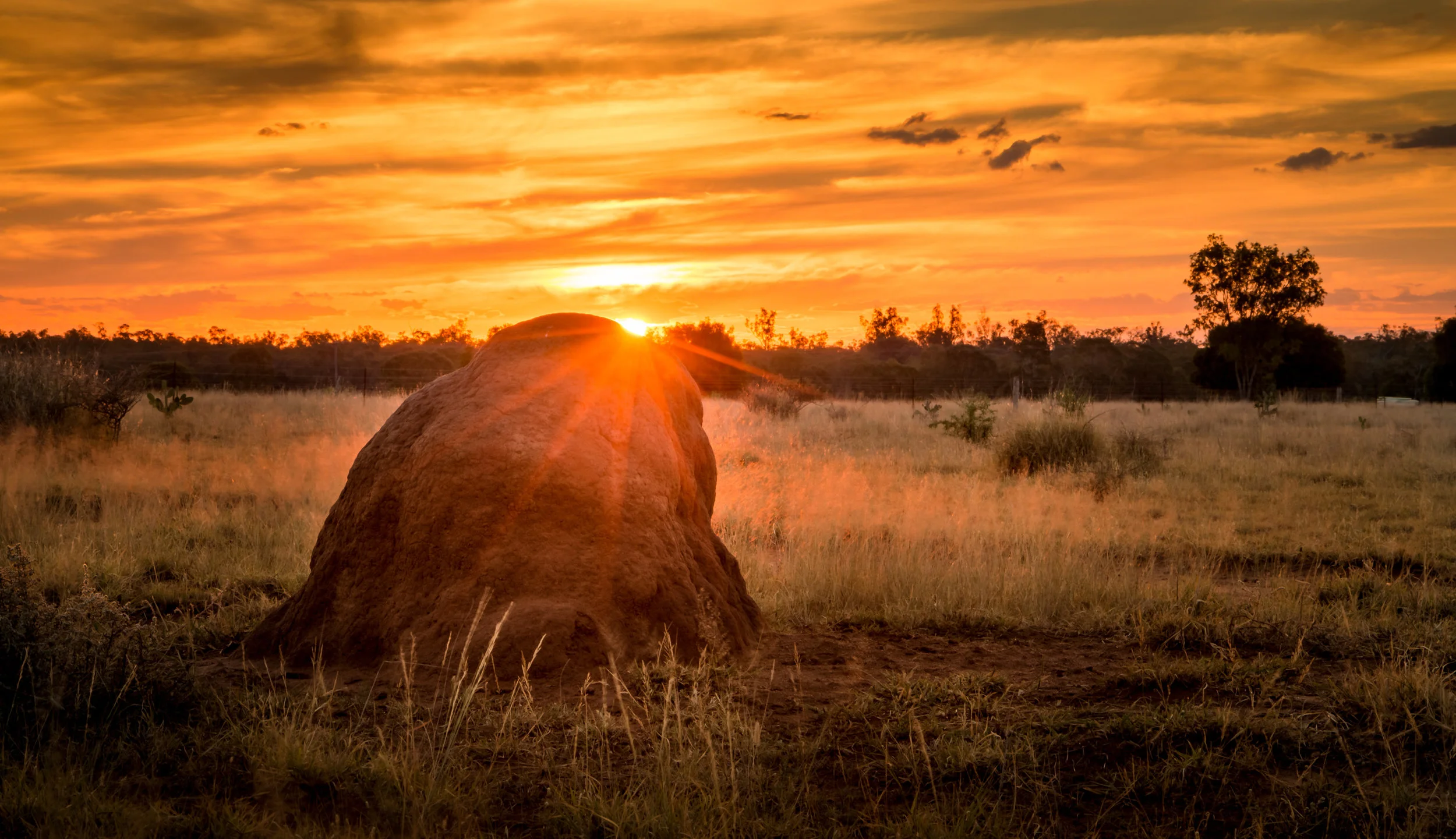 IMG_2388-HDR-2-no-logo.JPG