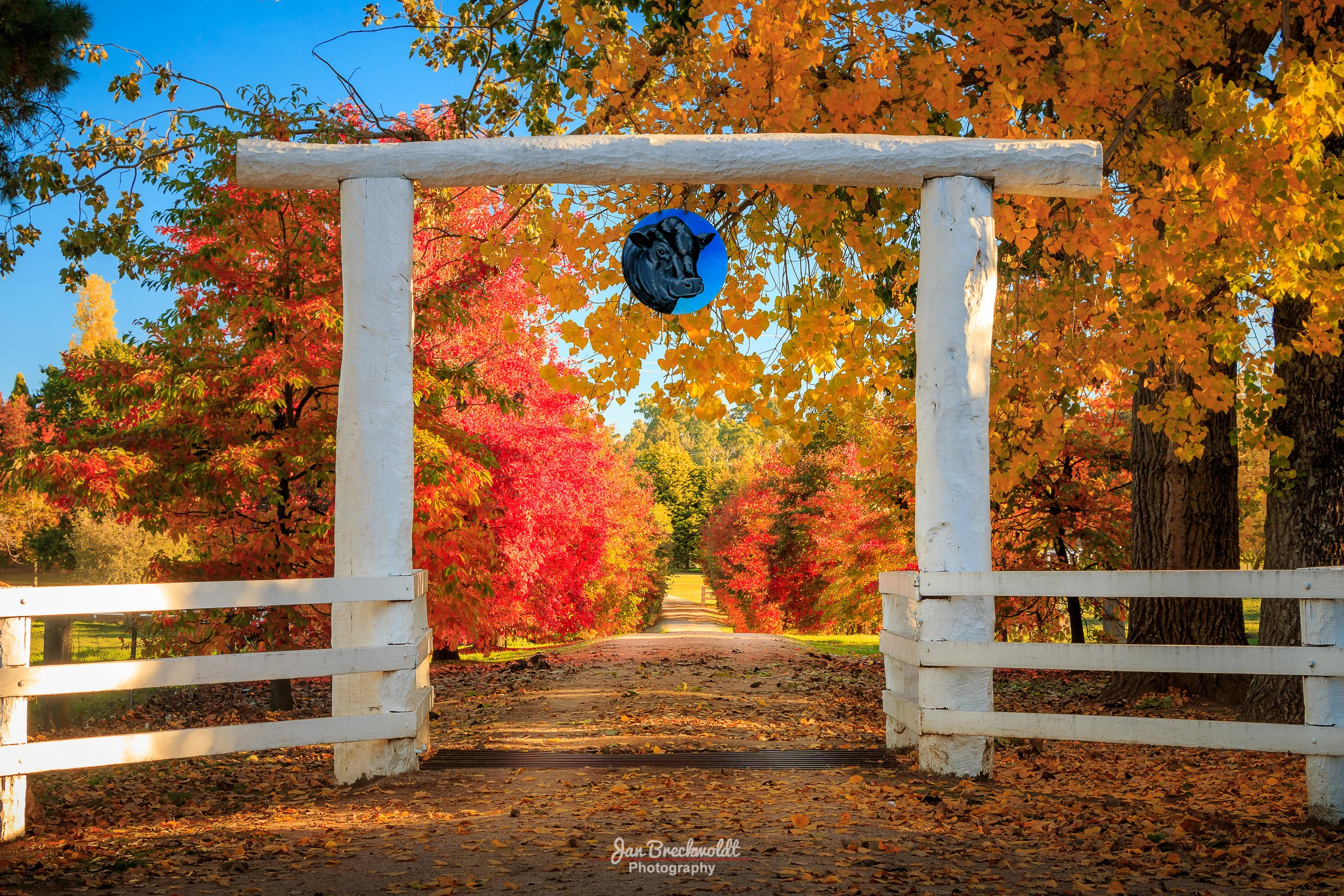 _MG_1880-HDR-Edit-2-m.JPG