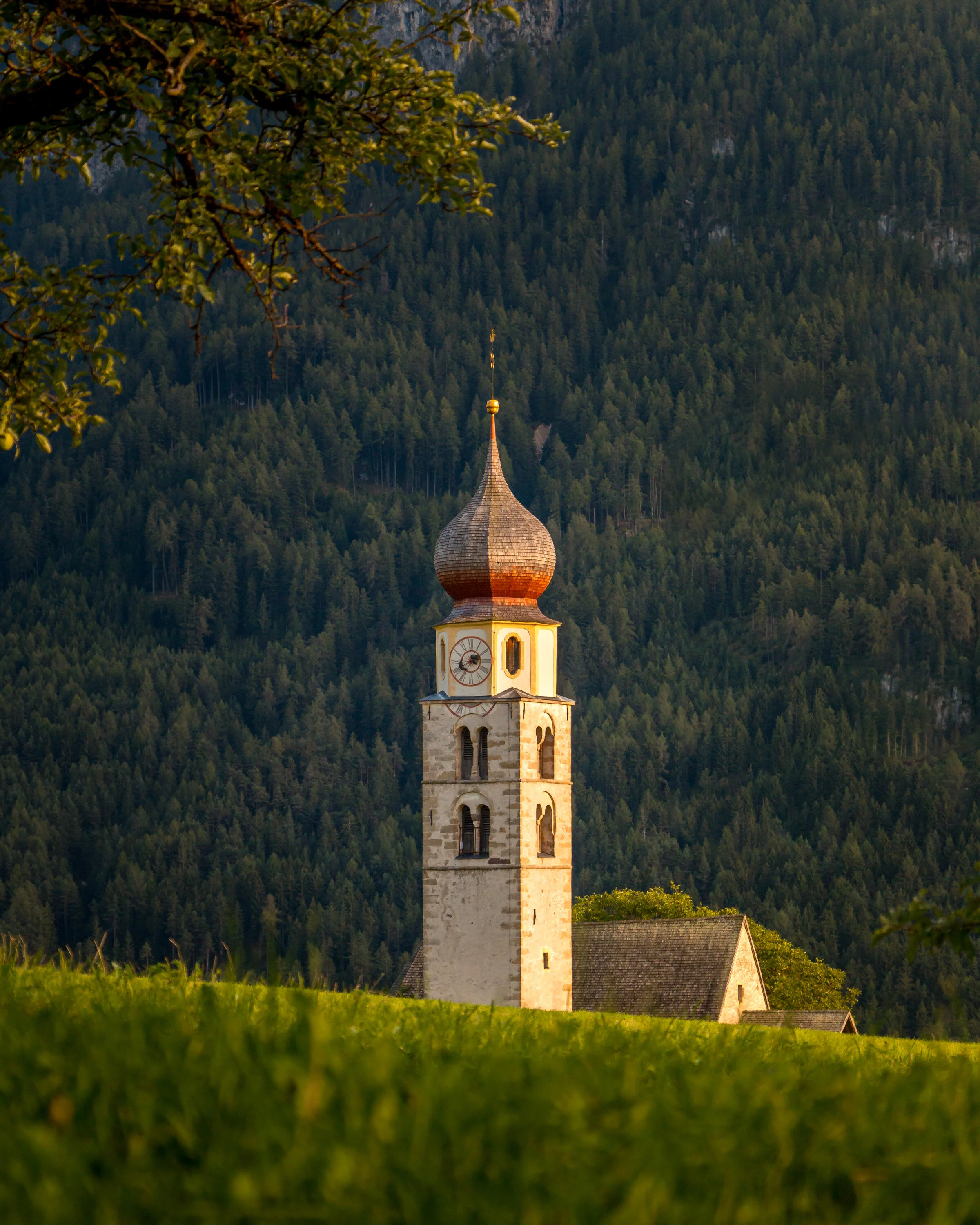 IMG_1149-Edit-2-no-logo.JPG