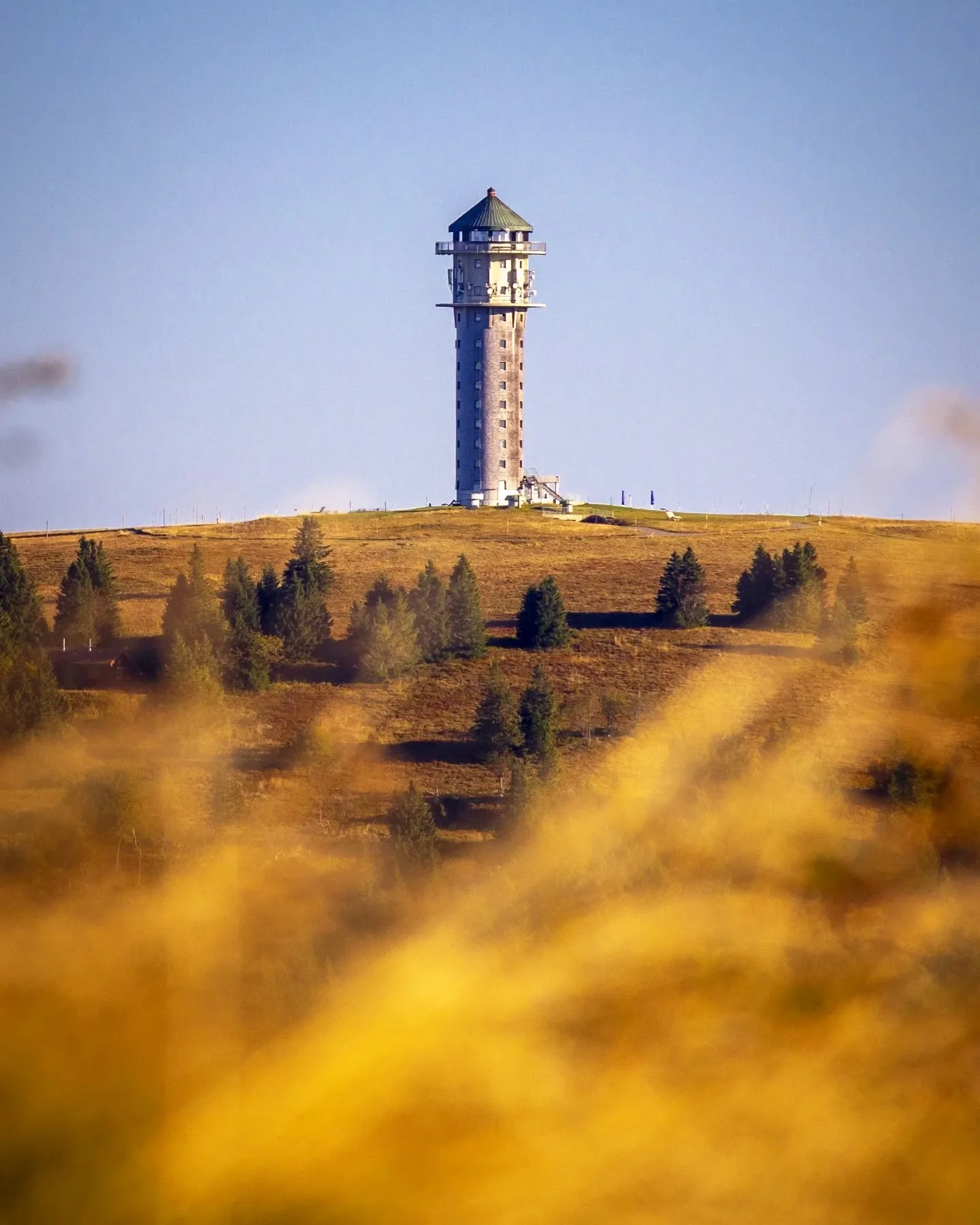 Let&rsquo;s talk about the Black Forest: a few months ago I visited this beautiful area in Germany&rsquo;s south west for a week to explore Freiburg, the surrounding villages and obviously the mountains and the forests. We spent 4 nights on an isolat