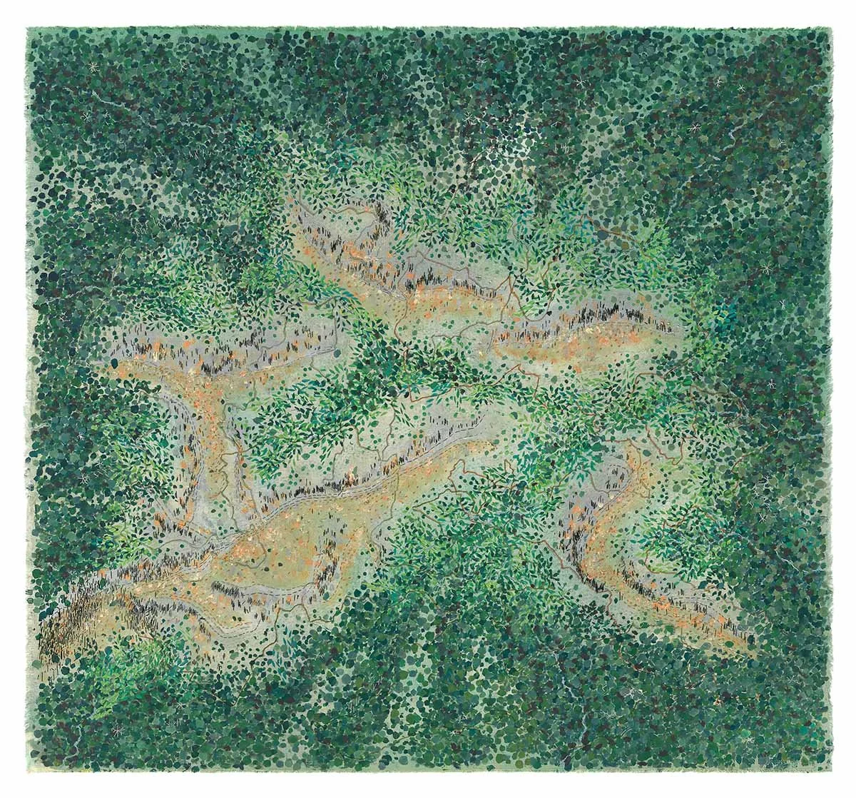 Errinundra Forest 