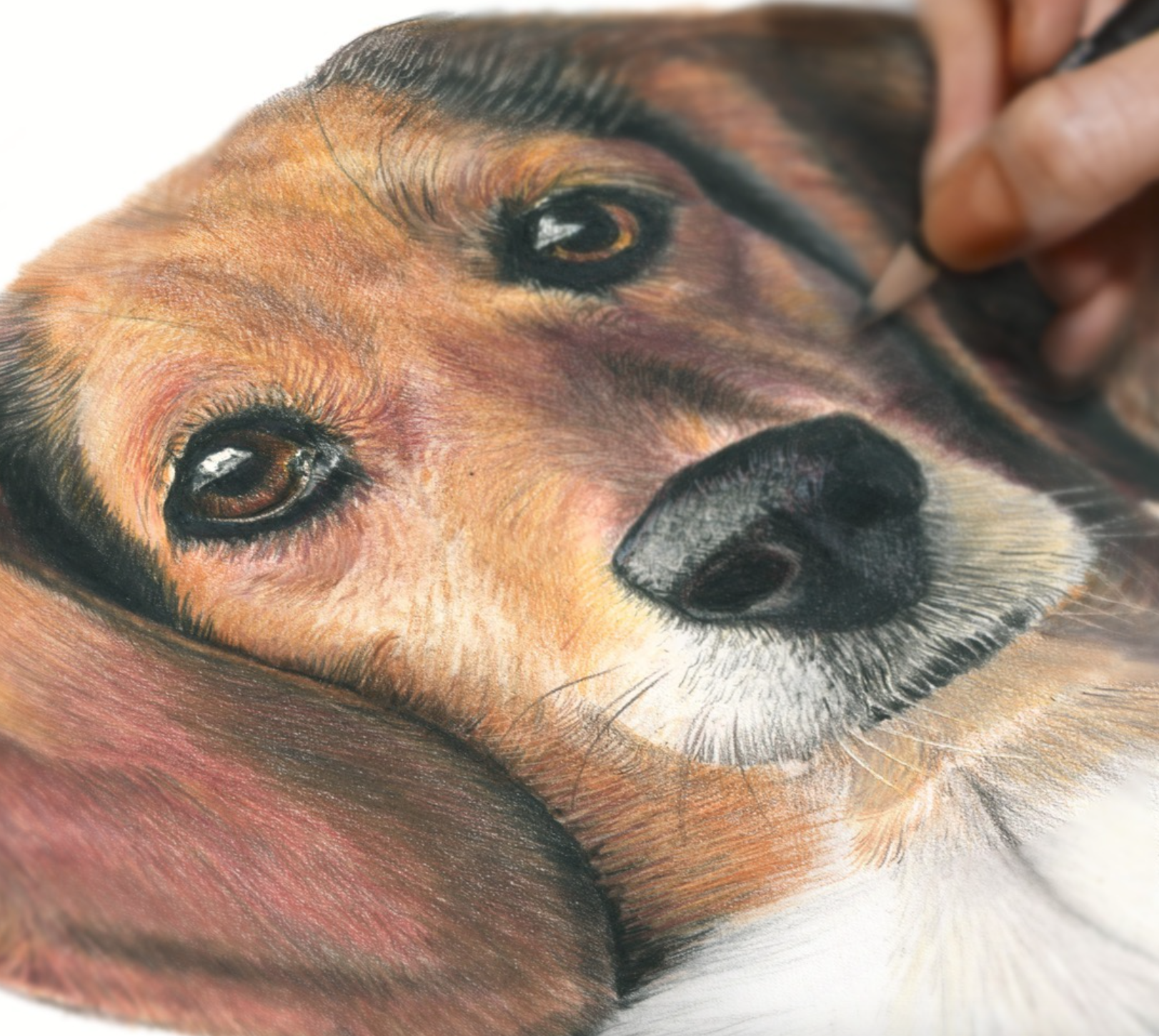 Screen Shot 2018-08-16 at 7.18.06 PM.png