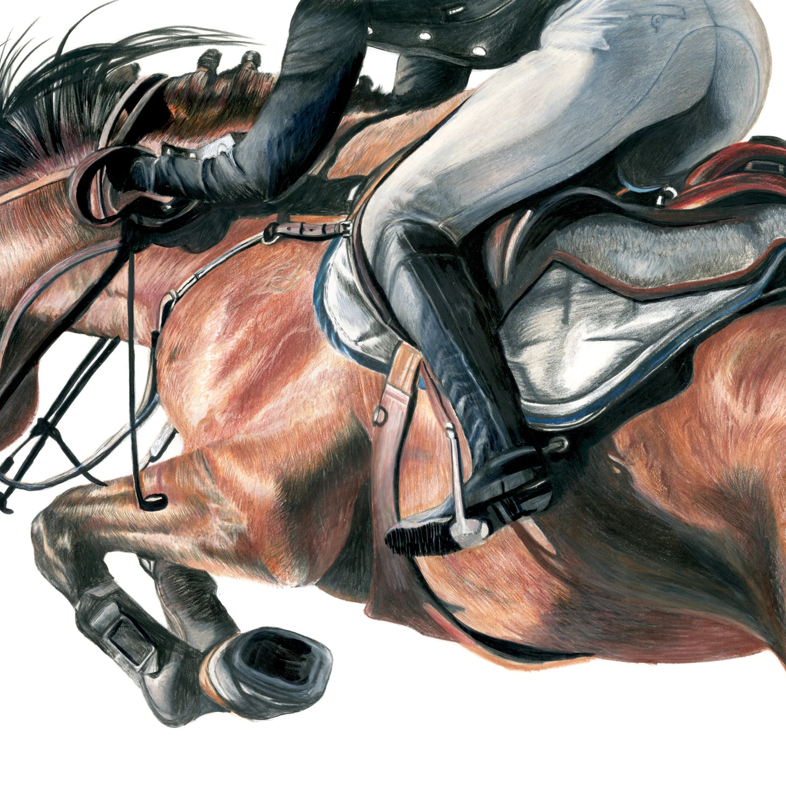 horse10.jpg