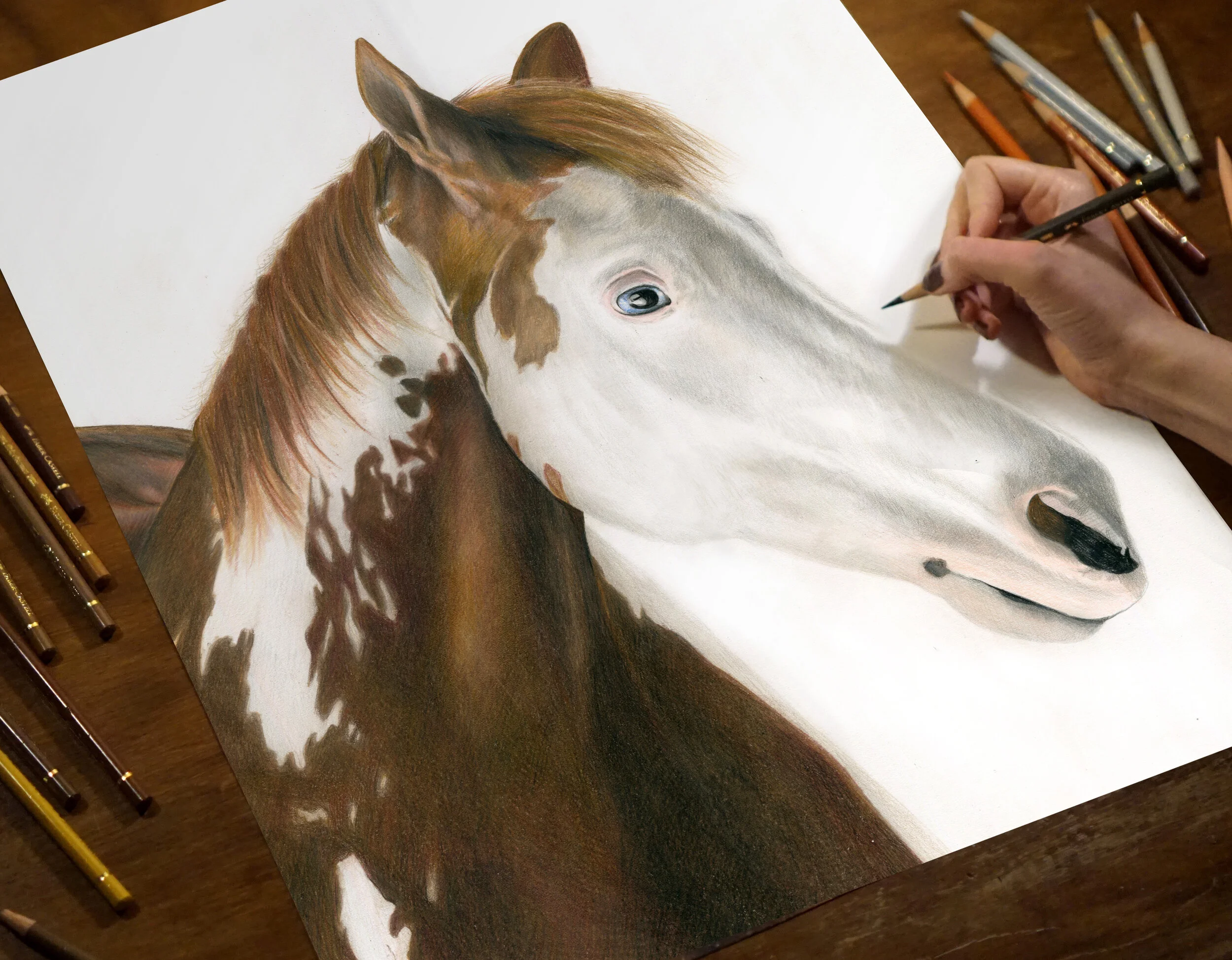 Horse5.jpg