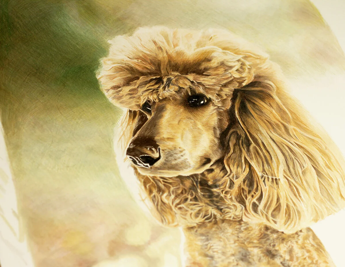 Creating Light Effects