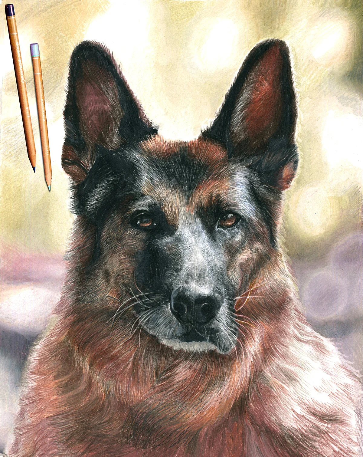 GermanShepherd_Background_SCAN_Darker_Pencils_web.jpg