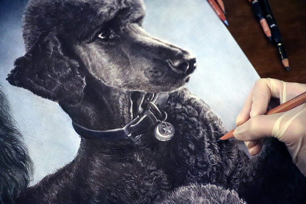 292210881_1161313064446593_9160285737581781110_n copy 2.jpg