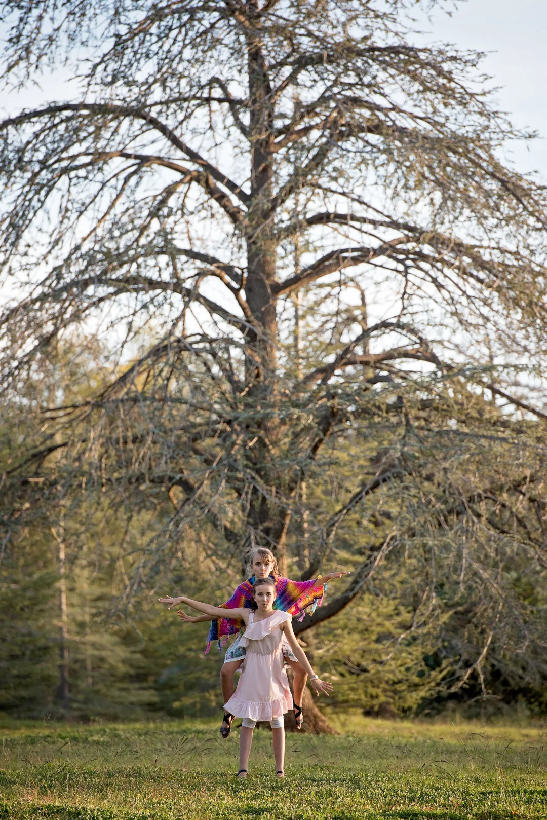 [2020-004]-Gladwins-[D750-2020-04-15]-#0097-Edit.jpg