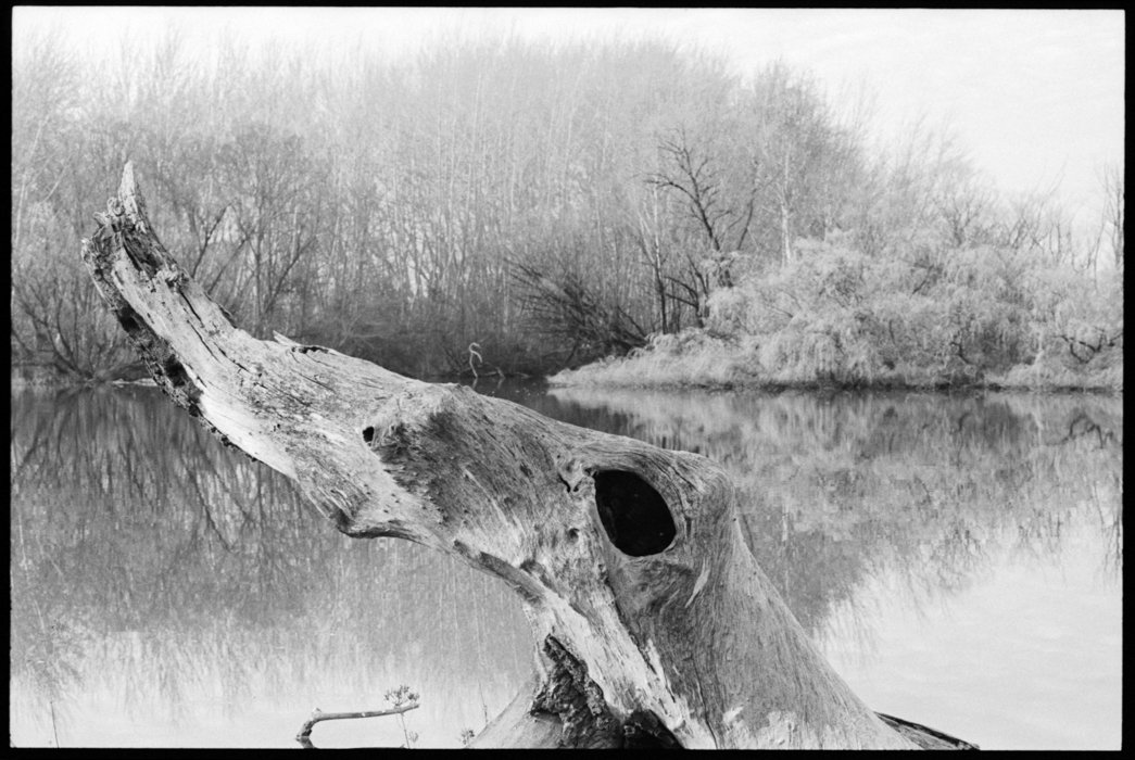 [2021-070]-Molongolo-Reach-Flash-2-[F5-TX-2021-09-01]-#027.jpg