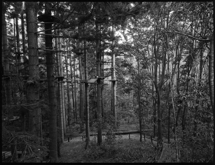 [2021-084]-Cumberland-Forrest-Tree-Tops-[HB-TX-2021-10-10]-#012.jpg