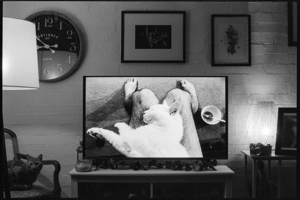 [2021-095]-Television-Display-4-[F4-TX-2021-11-05]-#025.jpg