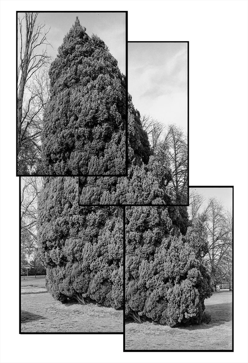 [2020-048]-Gorton-Building-Trees-[F5-TX-2020-08-19]-#026 - A1a-4.jpg