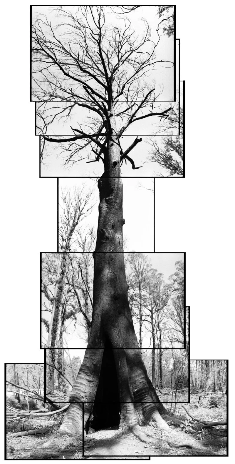 [2020-064]-South-Coast-2-[F5-BPAN-2020-10-14]-#002-Edit b-2.jpg