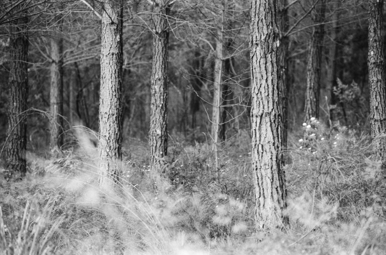 [2021-102]-Jumptown-Christmas-[F5-TX-2021-12-11]-#022.jpg