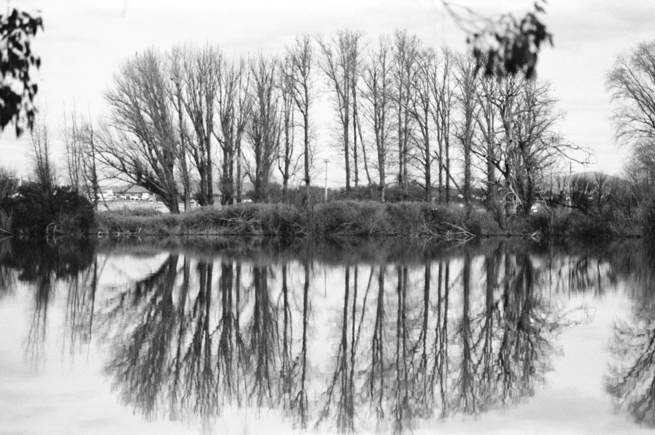 [2021-036]-Winter-Trees-Molongolo-Reach-[F5-TX-2021-06-27]-#016-5.jpg