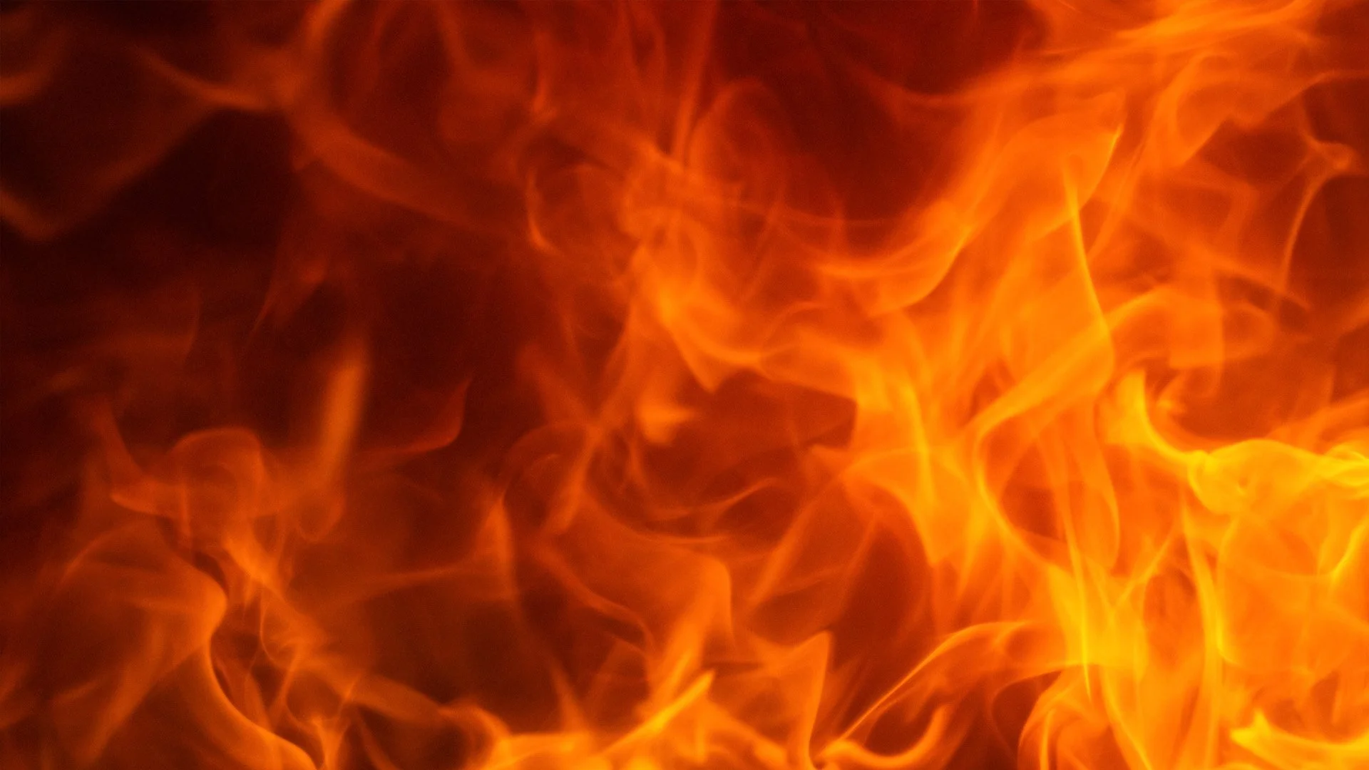 LM Web Header Ignite.jpg