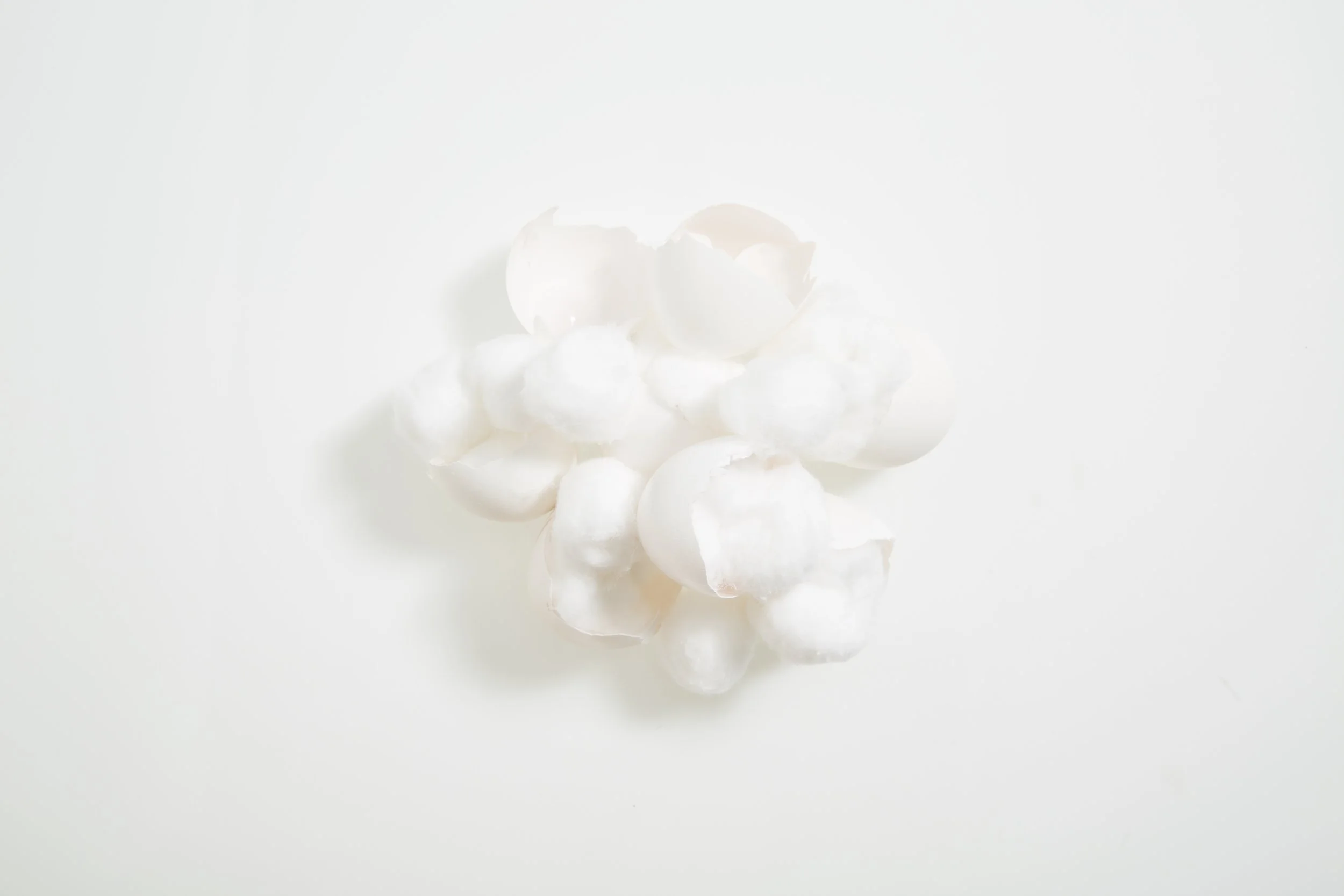 egg shells & cotton.jpg