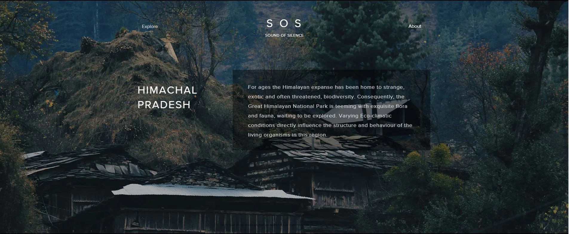Page From the Website