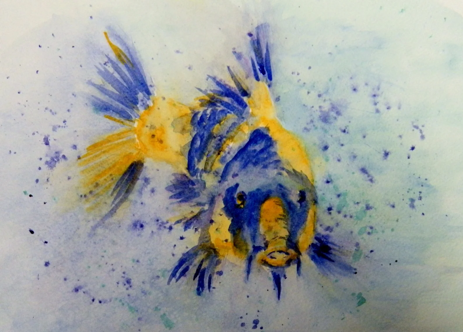 Something's Fishy 10x8