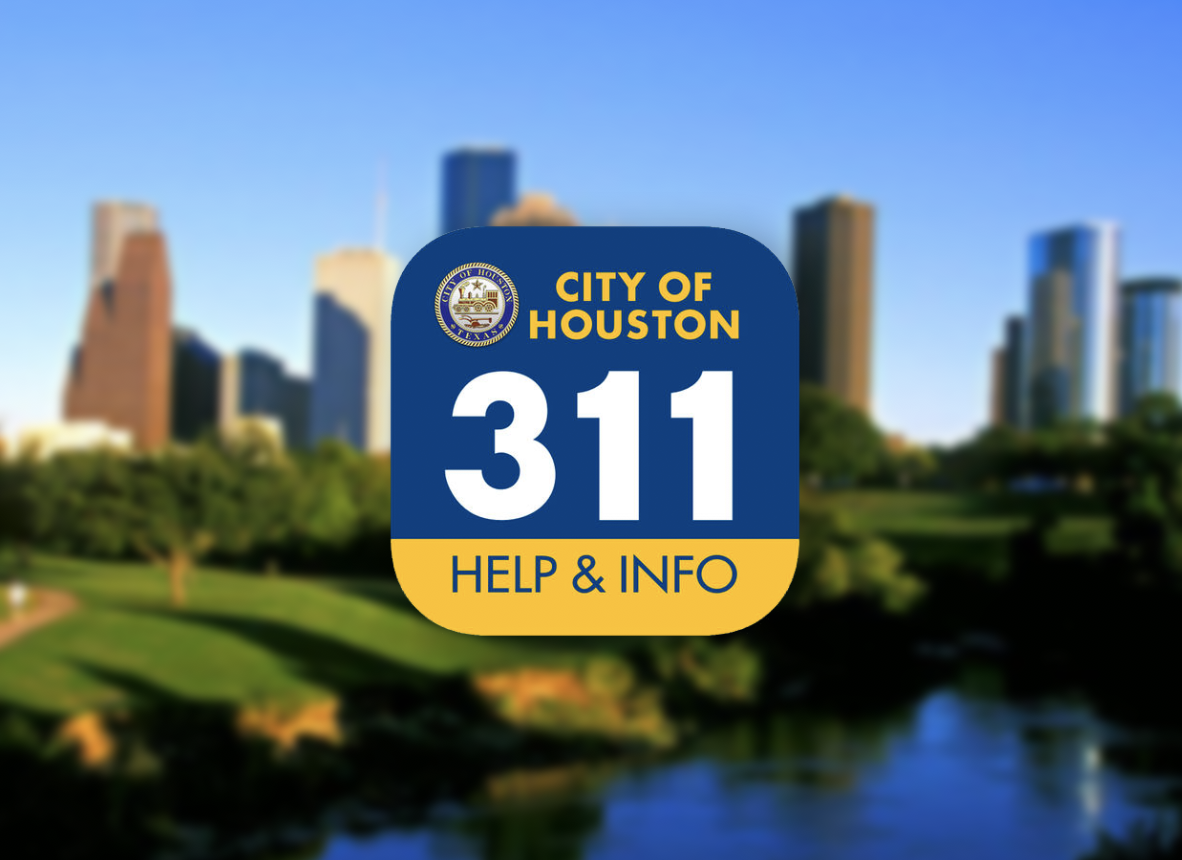 311.jpg