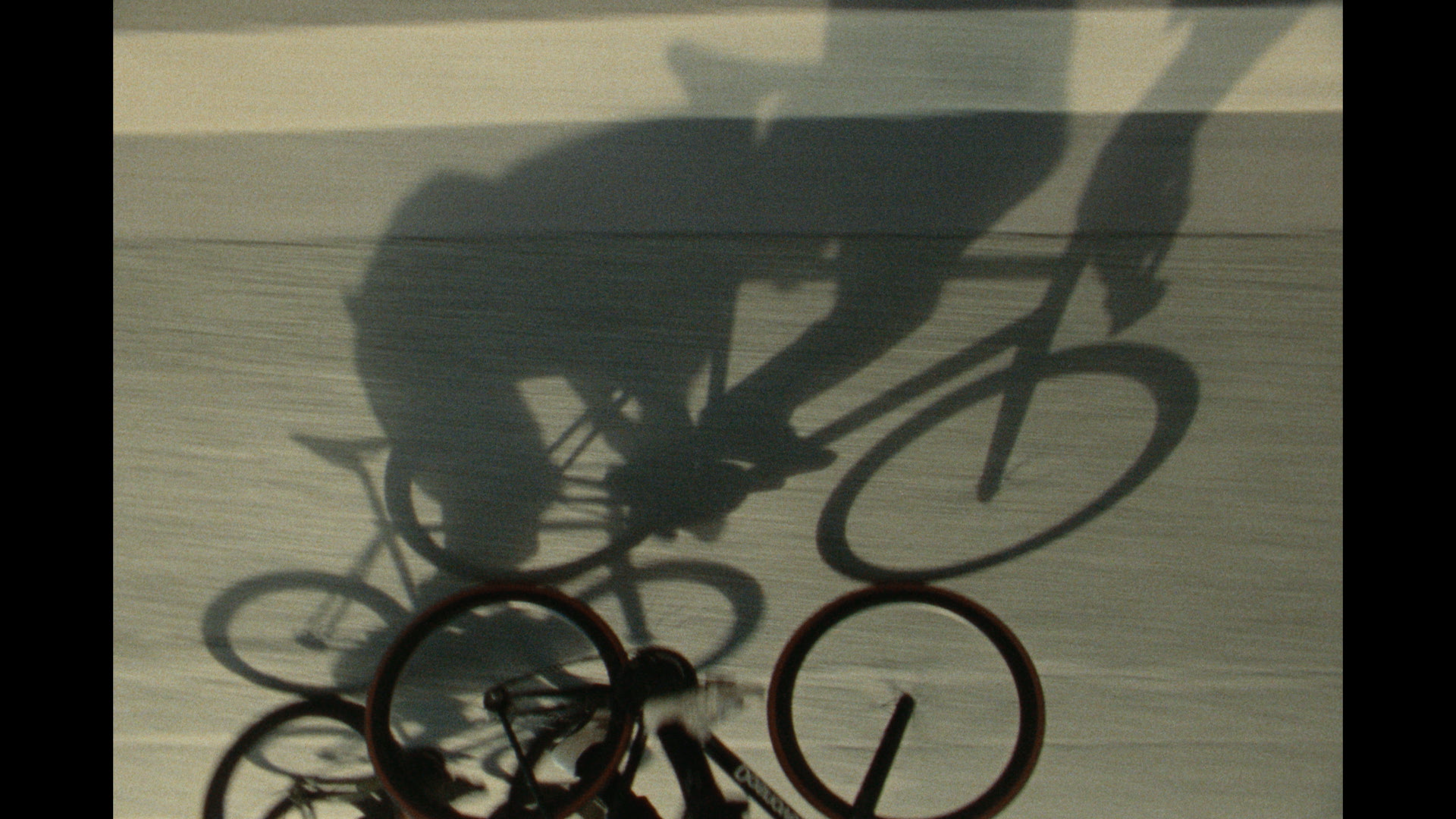 DSNV COLOR_2.1.32.png