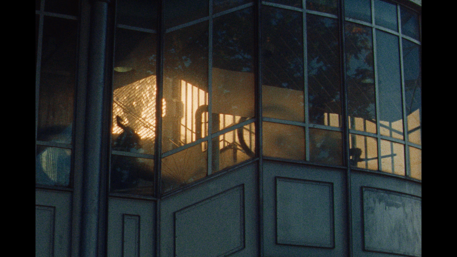 DSNV COLOR_2.1.7.png