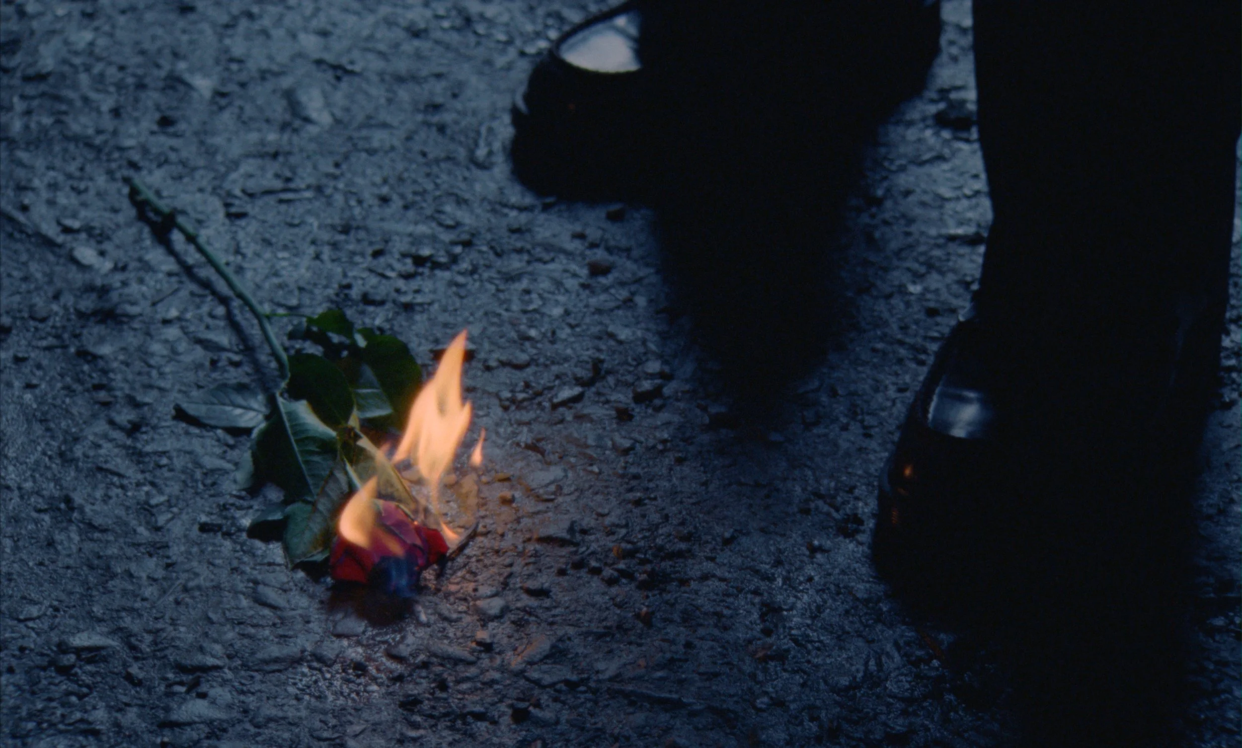 AQUILOWEB (12 of 14).jpg