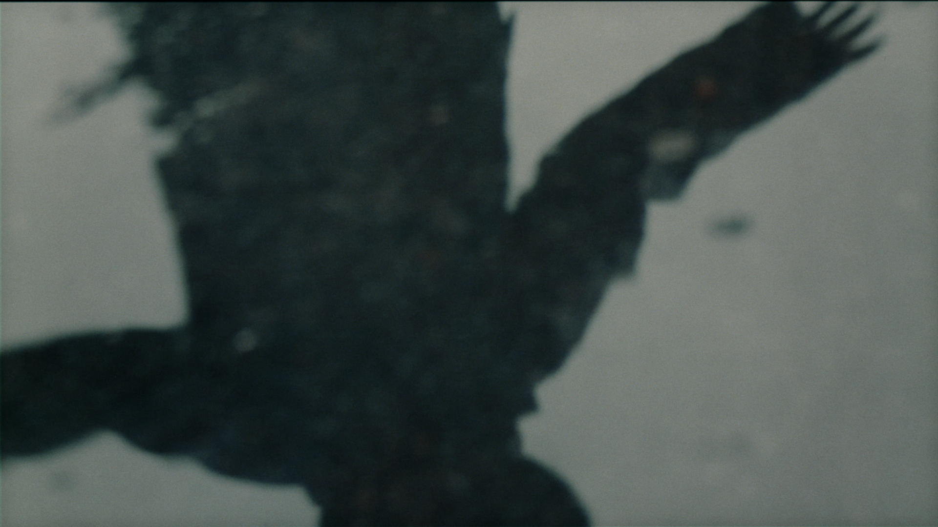 TOMMYS STILLS_1.1.2.PNG