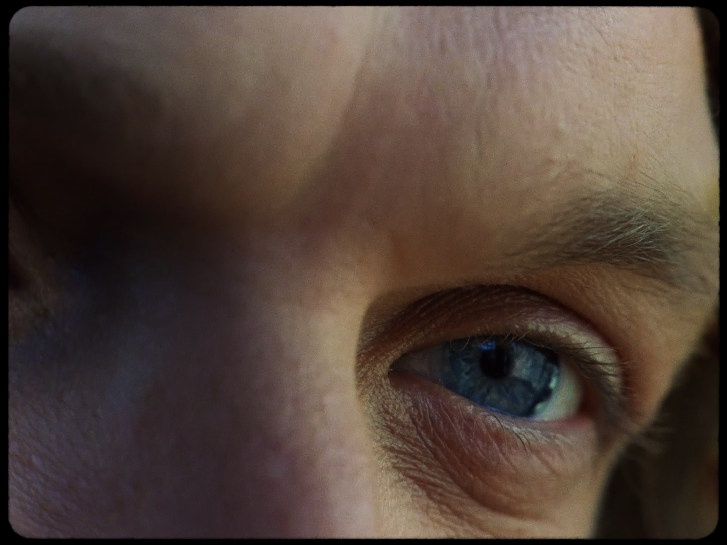 Still 2026-02-12 125230_1.57.1.T.png