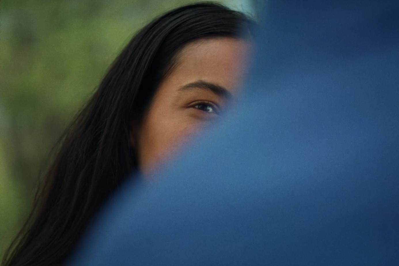 Still 2026-02-12 125230_1.66.1.T.png