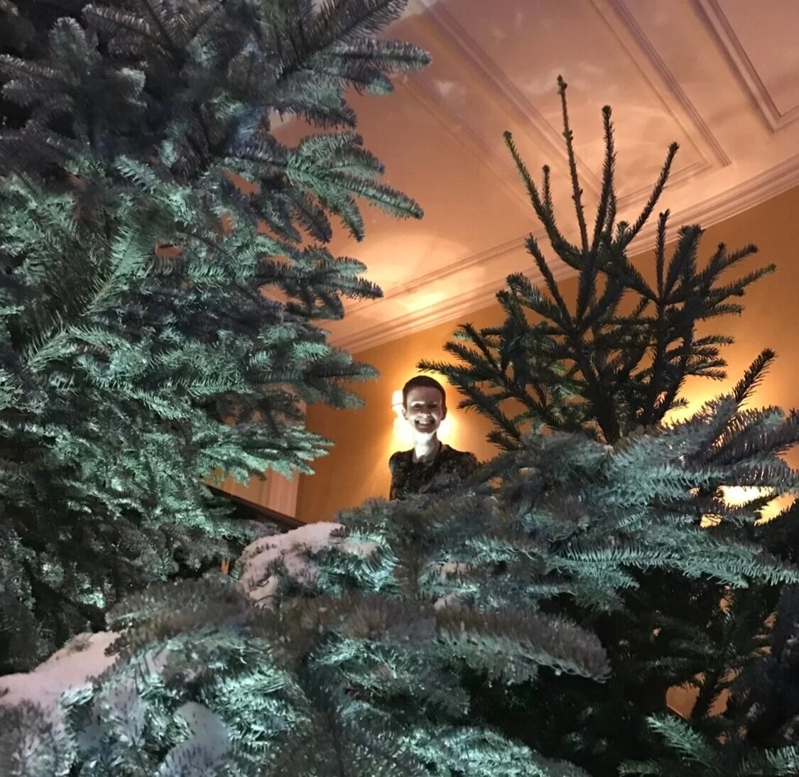 Christmas is a coming...